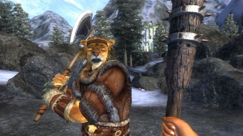 The Elder Scrolls 4: Oblivion
