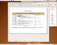 OpenOffice.org
