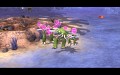 Spore