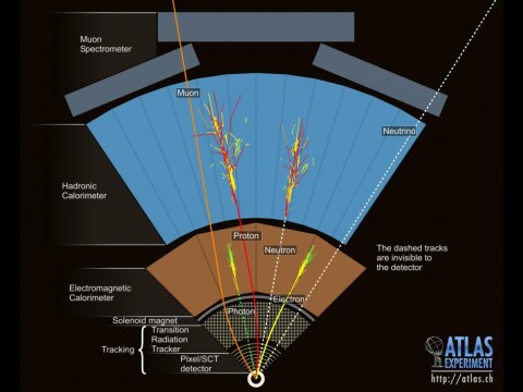 Aufbau des Atlas (Bild: CERN)