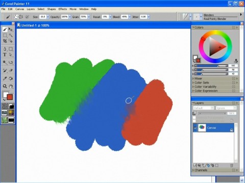 Painter 11