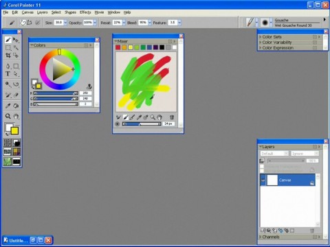 Painter 11