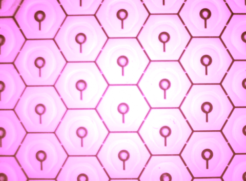 Pixelstruktur kann Pigmente verstecken oder zeigen