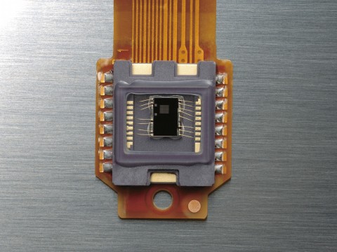 Nikon D5000 - RGB-Sensor
