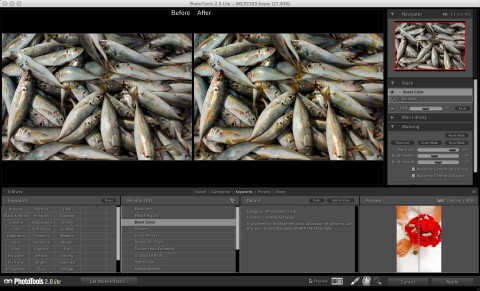 Onone Phototools 2 Lite Boost Color
