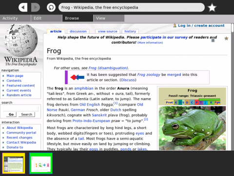 Der Webbrowser