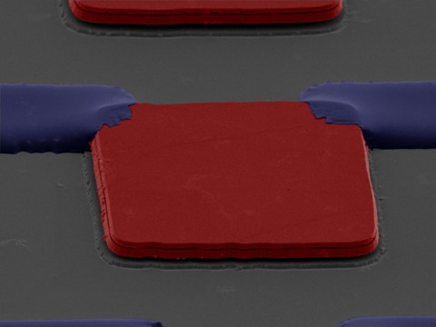 Mikroskop-Aufnahme der d&uuml;nnen Micro-LEDs (rot), die nur durch Polymer-Anker (blau) festgehalten werden, vom Wafer (grau) aber getrennt sind.