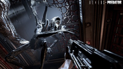 Aliens vs. Predator