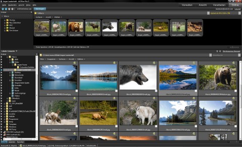 ACDSee ProFoto Manager 3
