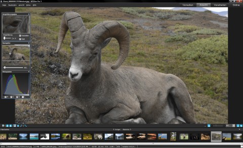 ACDSee ProFoto Manager 3