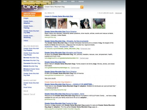 Bing Visual Search Galleries - Suche nach Hunderassen, Suchergebnis