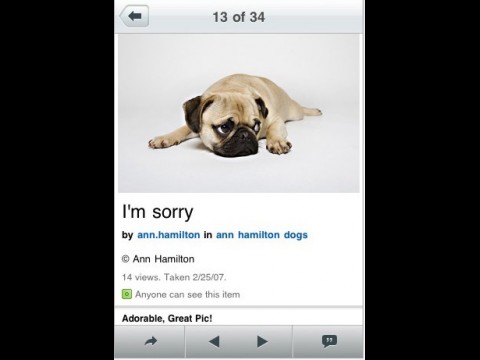 Flickr-iPhone-App