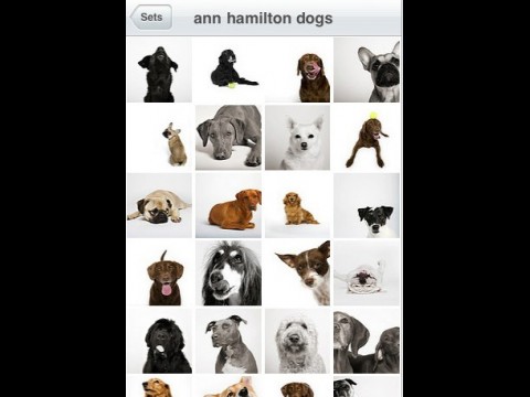Flickr-iPhone-App