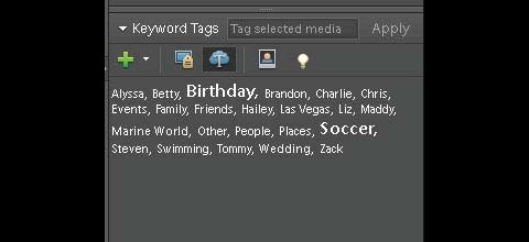 Photoshop Elements 8 - Tag-Cloud
