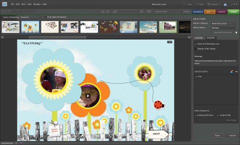Photoshop Elements 8 - Online-Album