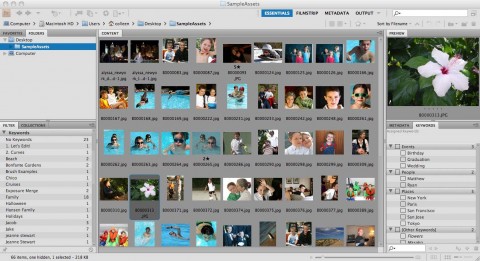 Photoshop Elements 8 f&uuml;r Mac - Bridge CS4