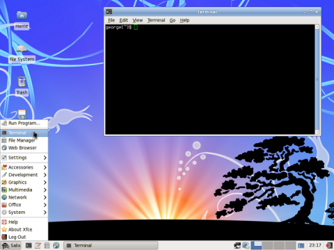 Salix 13.0