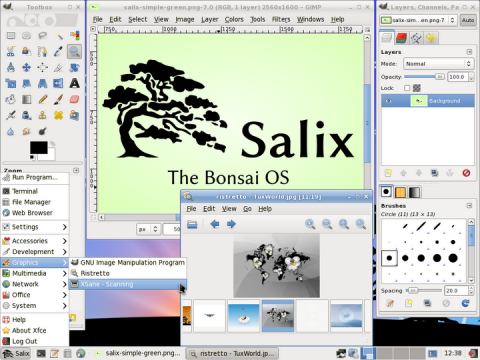 Salix 13.0