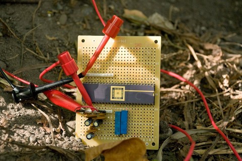 L&auml;uft mit Treepower: Nanoschaltkreis des Teams um Babak Parviz (Foto: University of Washington)