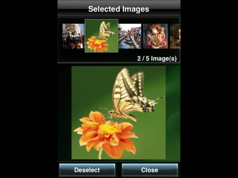 Canon Easy Photo-Print