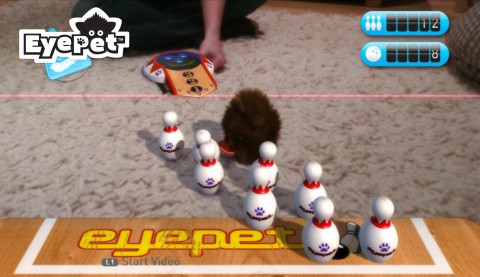 Eyepet