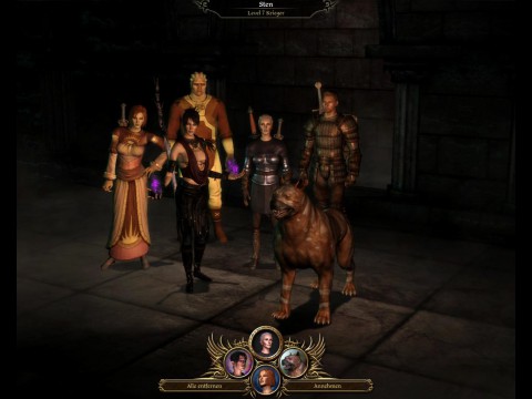 Dragon Age: Origins