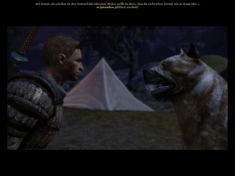 Dragon Age: Origins