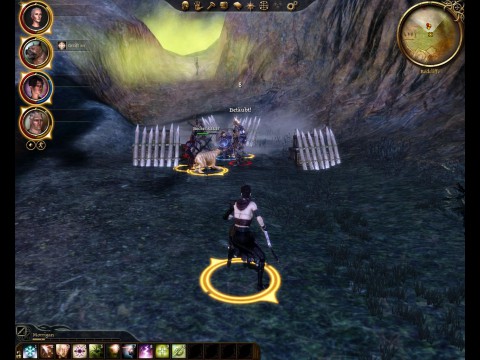 Dragon Age: Origins