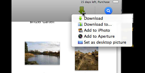Flickery - Download-Optionen