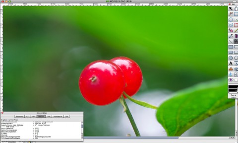 Graphicconverter 6.6 - Einzelbildbetrachter