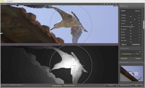 Nik Software Viveza 2 - Kontrollpunkt in der Maskendarstellung