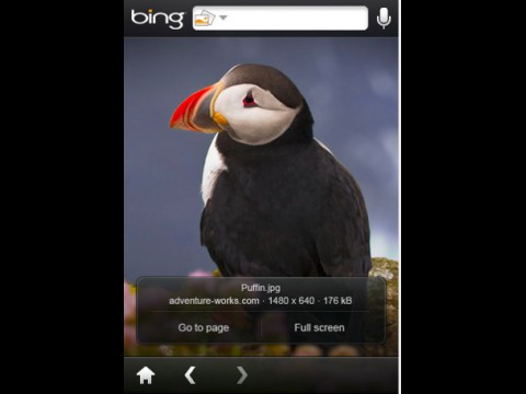 Bing auf dem iPhone - Bildersuche