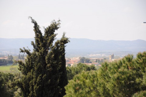Montpellier