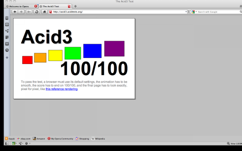 Der Acid3-Test unter Mac OS X