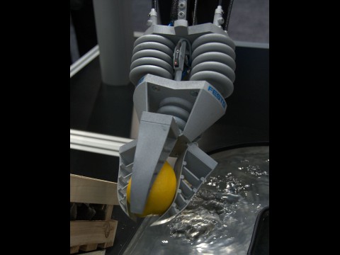 So kann der Roboterarm Obst sortieren. (Foto: wp)