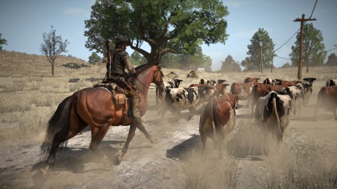 Red Dead Redemption