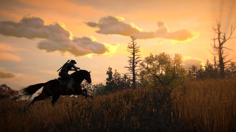 Red Dead Redemption