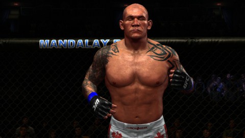 UFC Undisputed 2010