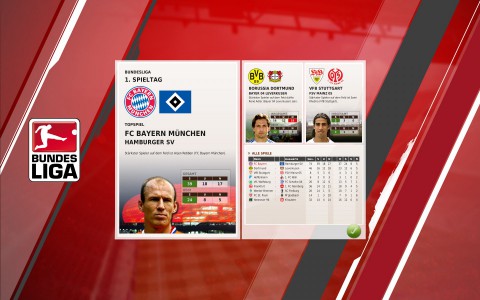 Fu&szlig;ball Manager 11