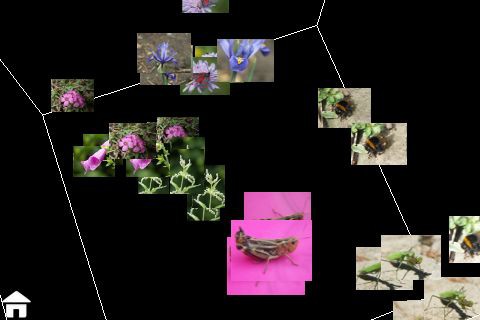 See-View - 3D-Ansicht der Bilder