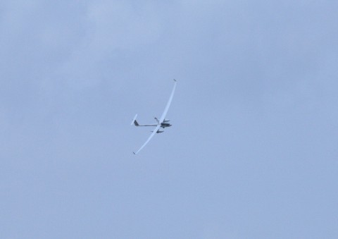 ... und im Flug (Foto: wp)
