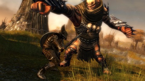 Guild Wars 2 - Krieger im Kampf