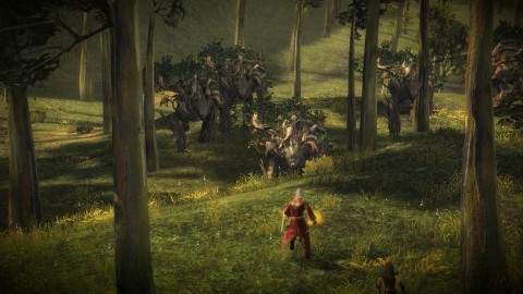 Guild Warsscreenshots on Guild Wars 2  World Of Warcraft Ade   Golem De