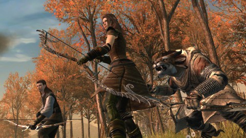 Guild Wars 2 - eine Ranger-Gruppe