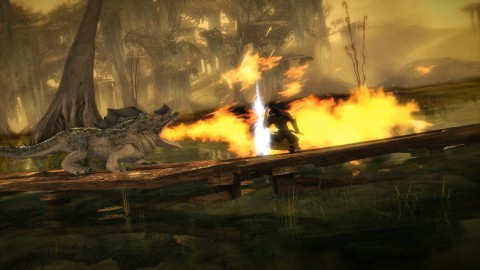 Guild Wars 2 - Krieger mit sch&uuml;tzender Schildhaltung