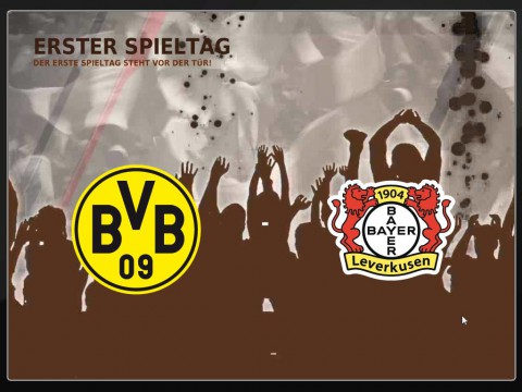 Fu&szlig;ball Manager 11
