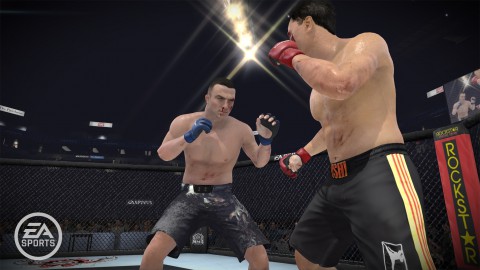 MMA - Mixed Martial Arts