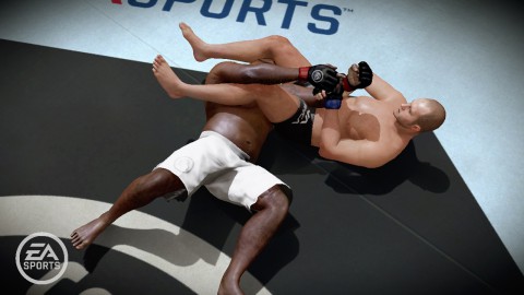 MMA - Mixed Martial Arts