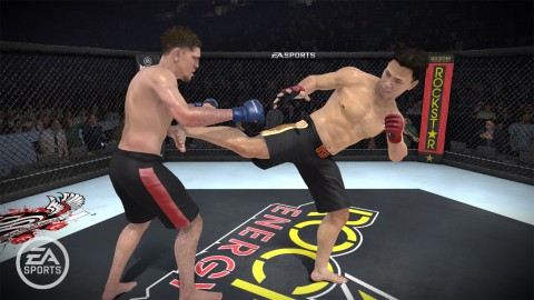 MMA - Mixed Martial Arts