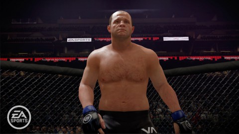 MMA - Mixed Martial Arts